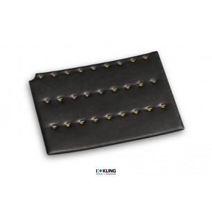 Karte RS1/27 mit 27 goldfarbenen Haken für die Fachlade RL1F