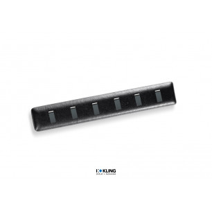 Karte RE4/6KL mit 6 POLY-Zungen für die Fachlade RL4RF/22