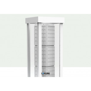 Vitrine 21150B15 LED beleuchtet, lackierte Profile