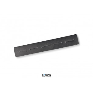 Karte RE4/5 mit 5 H-Ringschlitze für die Fachlade RL4RF/22