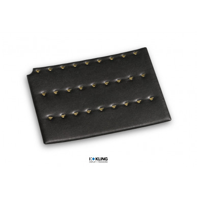 Karte RS1/27 mit 27 goldfarbenen Haken für die Fachlade RL1F