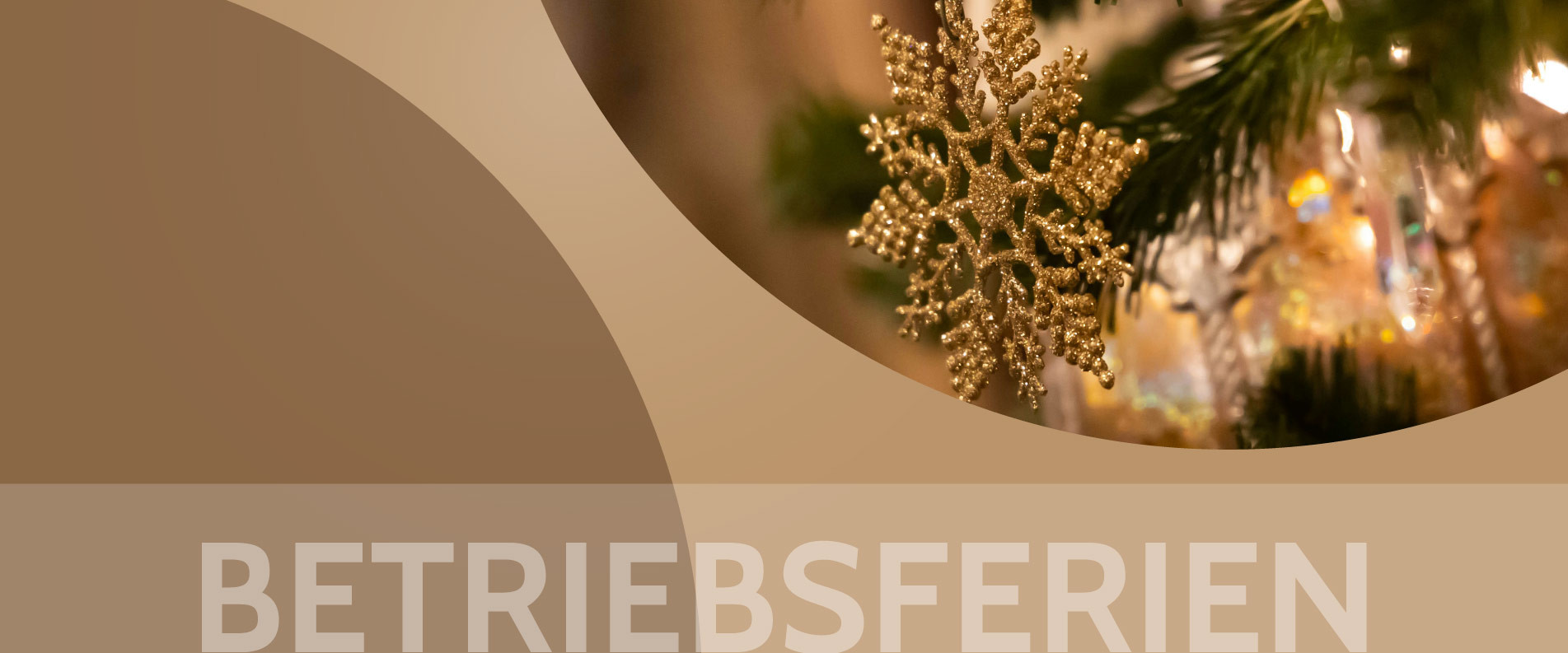 ¡Nos tomamos un breve descanso invernal