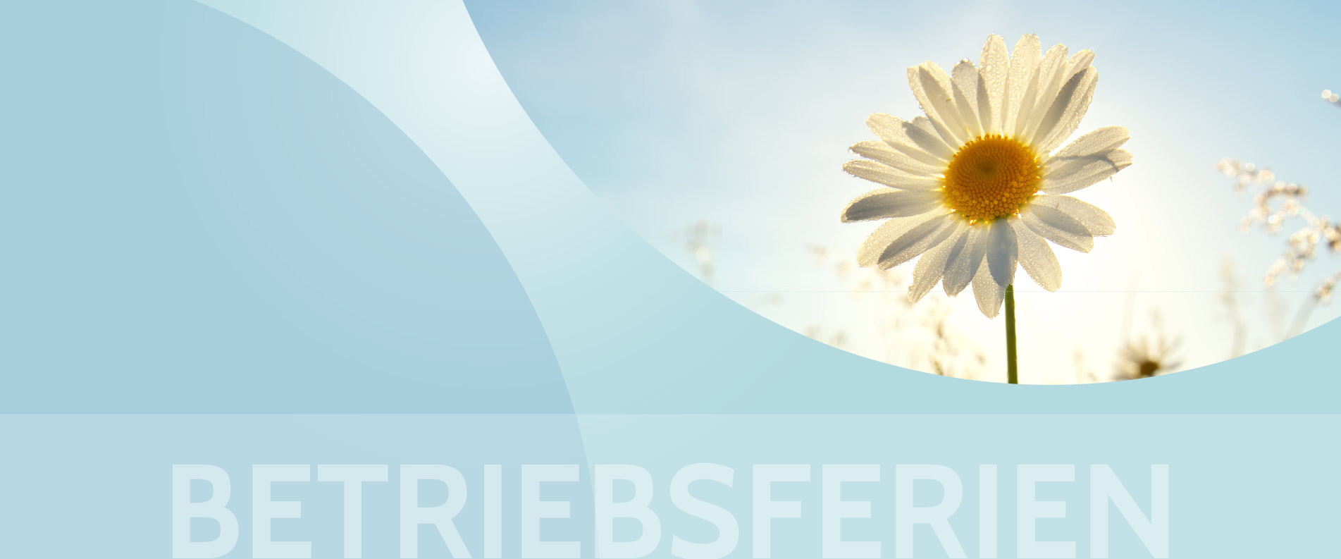 Wir machen eine kurze Sommerpause!